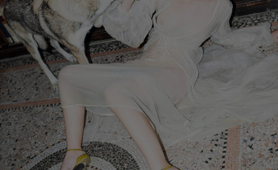 Fall Winter 21-22