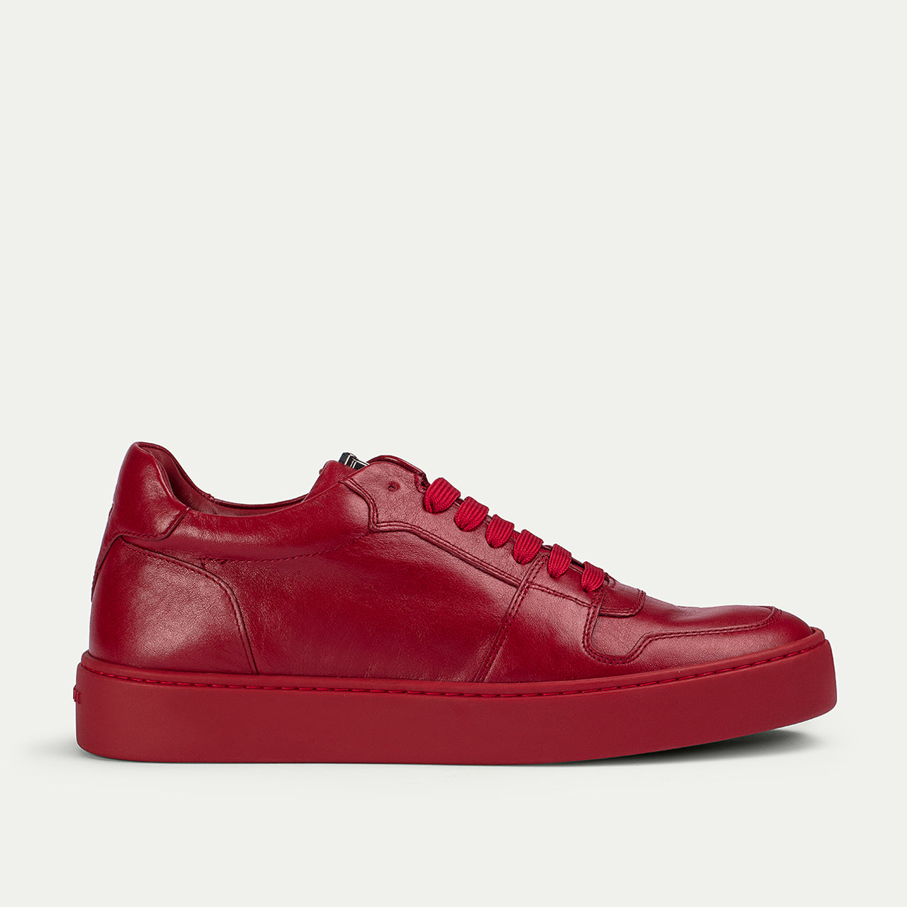 LINEA OXFORD
