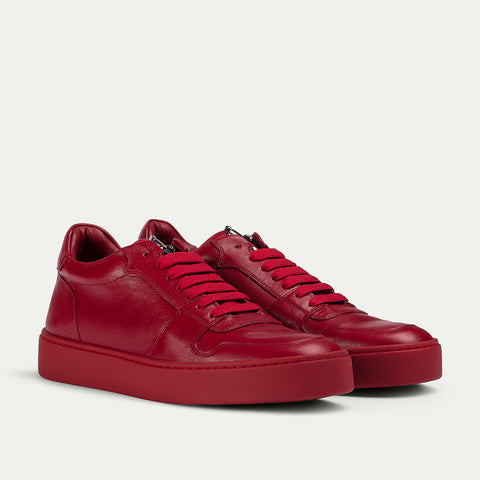 LINEA OXFORD