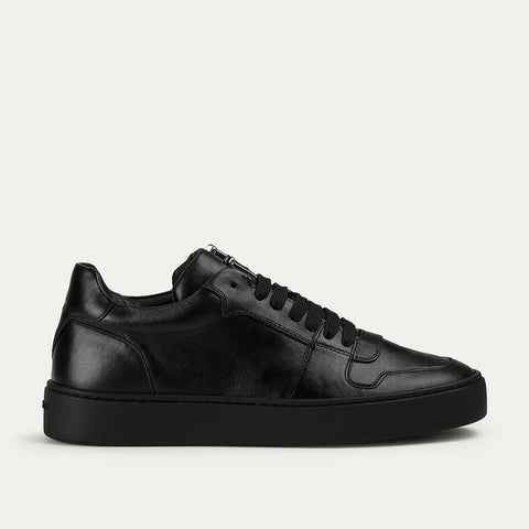 LINEA OXFORD