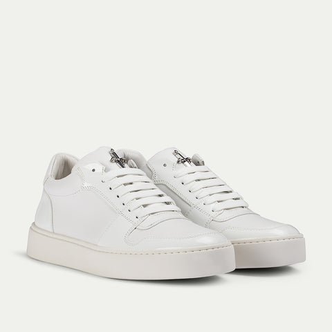 LINEA OXFORD