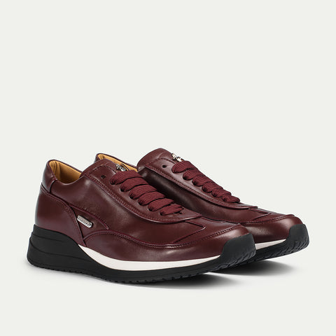 Paciotti - PHD66700NAP028