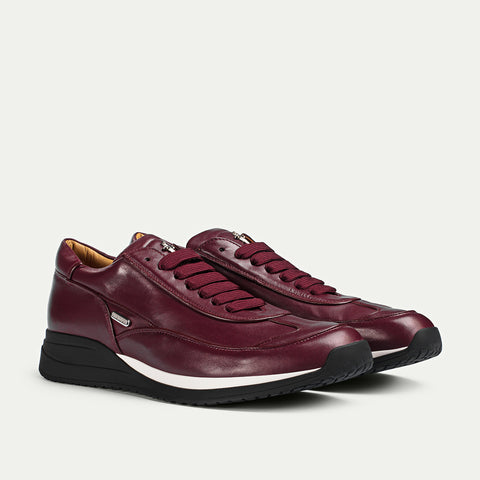 Paciotti - PHU66700NAP010