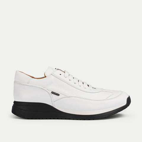 Paciotti - PHU66700NAP031