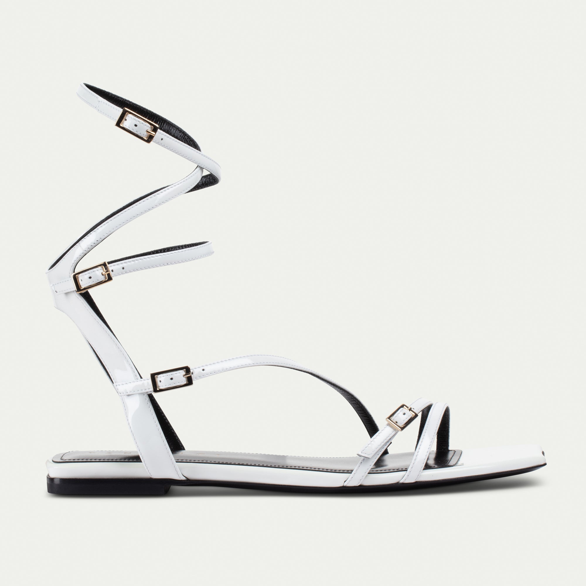 Paciotti - PED990005VE001